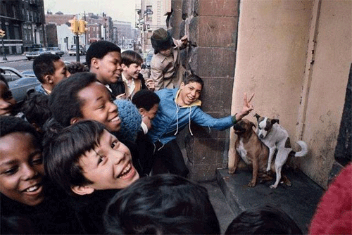 美國窮人的真實生活，看完感慨萬千！