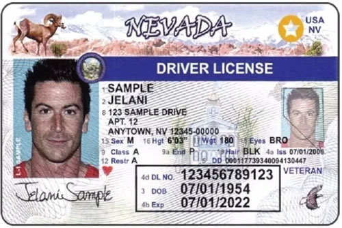 加州全真駕照即將問世